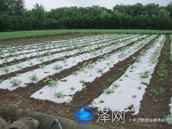 某農業(yè)園公司的視頻宣傳